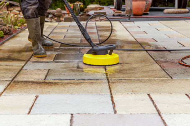 Best Boat and Dock Cleaning  in St Leo, FL