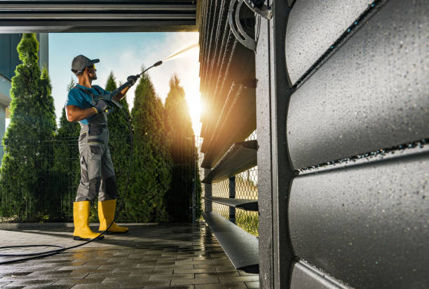 Best Dumpster Area Cleaning  in St Leo, FL